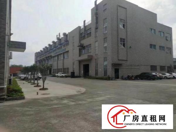  东莞常平厂房租赁