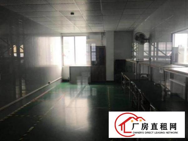 东莞市常平镇厂房出租