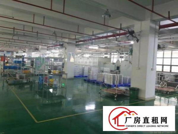 房东招租，标准厂房3000方大小分租，隔好办公室水电齐