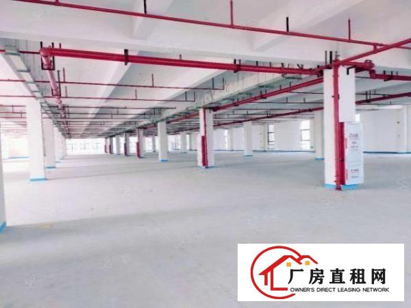  常平镇新出原房东独院大型厂房，实际面积出租，大小可以分租