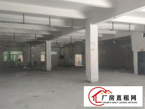  桥沥村新出标准厂房一楼800平，精装修办公室，可办环评