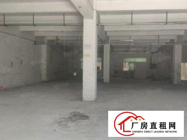  桥沥村新出标准厂房一楼800平，精装修办公室，可办环评
