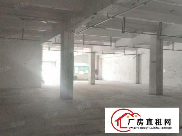  桥沥村新出标准厂房一楼800平，精装修办公室，可办环评