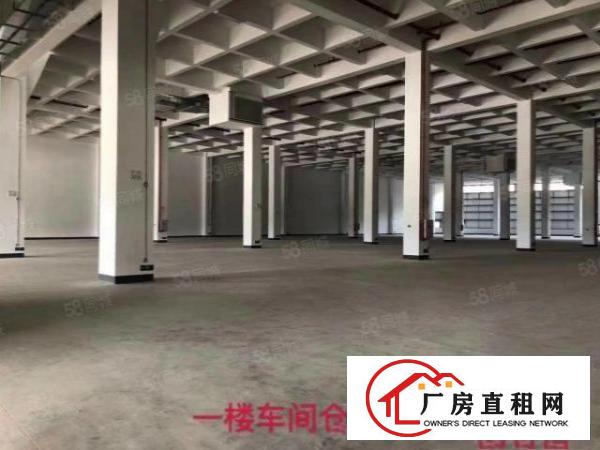  东莞常平镇全新高标准物流仓库出租仓库面积44000平方