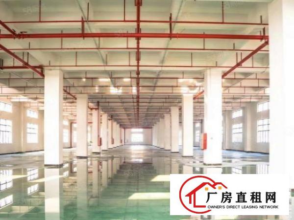  大型工业园50000平方出租，3栋全新厂房价格优惠依山傍水。
