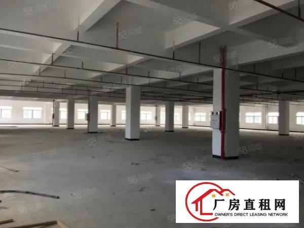  常平土塘工业区15层各1800平（大小可以分租）环评包过