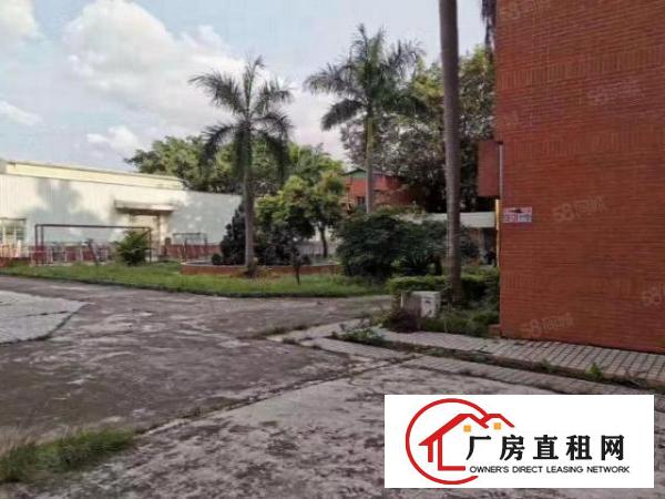  常平镇高速边新空出二楼1000平方精装修厂房，价格便可办玶评