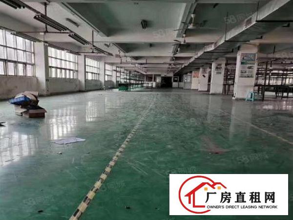  常平镇高速边新空出二楼1000平方精装修厂房，价格便可办玶评