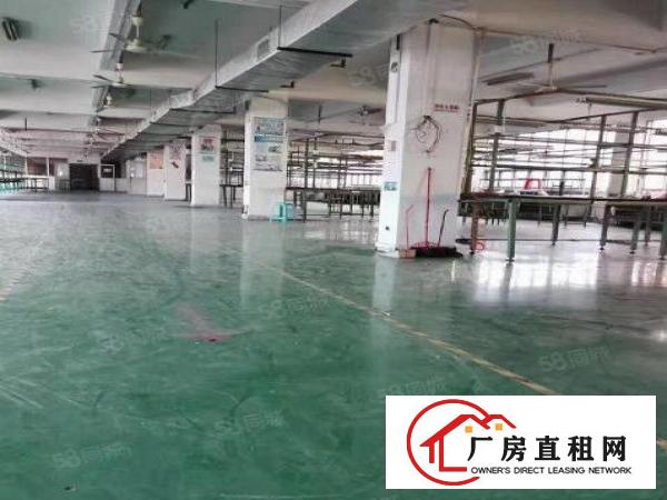  常平镇高速边新空出二楼1000平方精装修厂房，价格便可办玶评