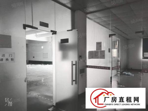  常平桥沥一楼1200平厂房全新装修玻璃隔墙办公室带环评