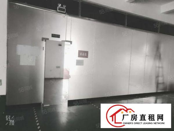  常平桥沥一楼1200平厂房全新装修玻璃隔墙办公室带环评
