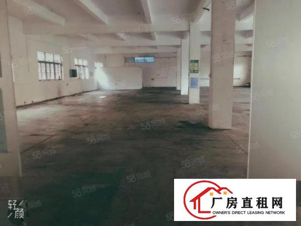  常平桥沥一楼1200平厂房全新装修玻璃隔墙办公室带环评