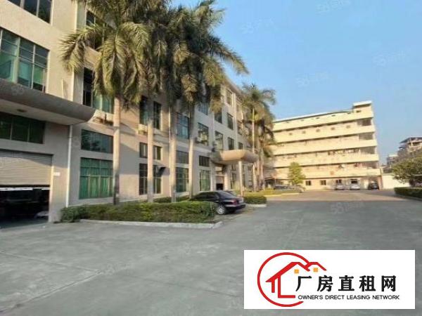  常平桥沥一楼1200平厂房全新装修玻璃隔墙办公室带环评