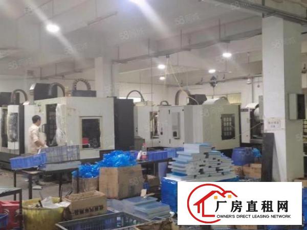  常平镇新出原房东小独院厂房2600平方，大马路边，易招工