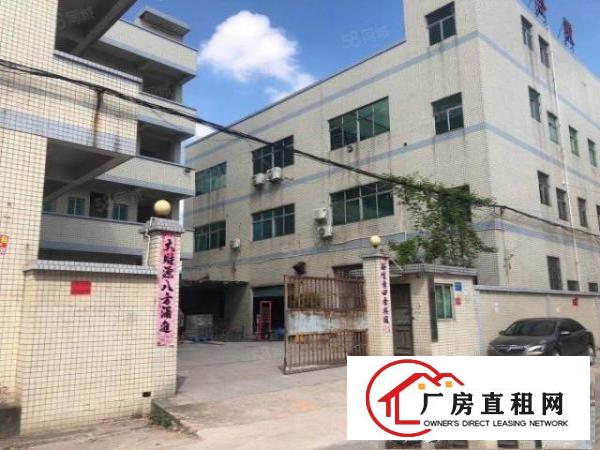  常平镇新出原房东小独院厂房2600平方，大马路边，易招工