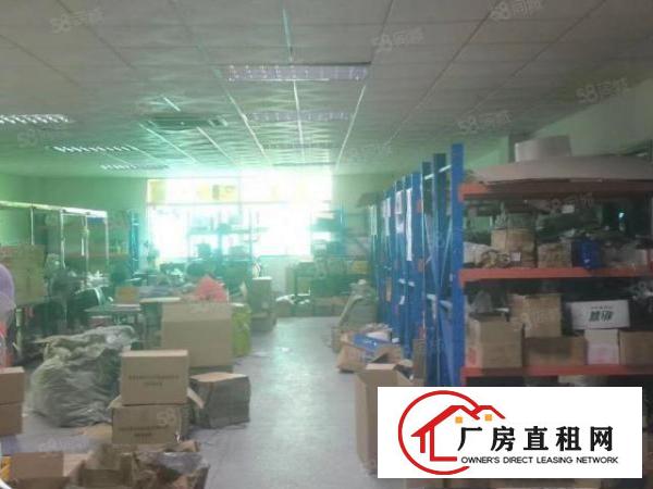  常平镇新出原房东小独院厂房2600平方，大马路边，易招工