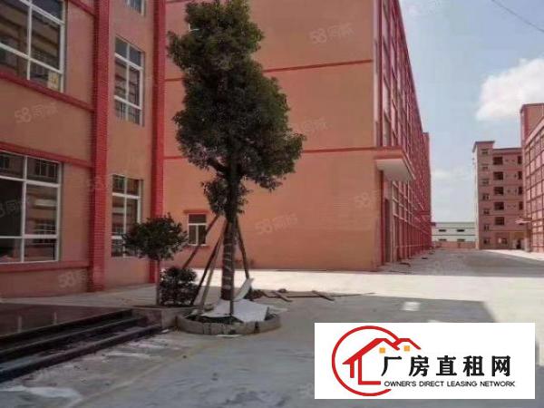  石湾厂房出租原房东标准厂房喷油环评工业用地国有土