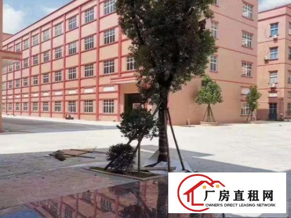  石湾厂房出租原房东标准厂房喷油环评工业用地国有土
