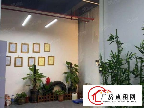  常平桥沥九米高工业钢构厂房出租可分租有装修