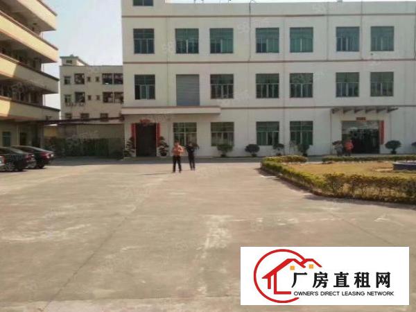 (客户分租）常平岗梓工业区一楼500平工业地可办环评水电齐全