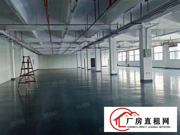  急租！常平新出精装修原房东花园式厂房工业用地可办环评空地大