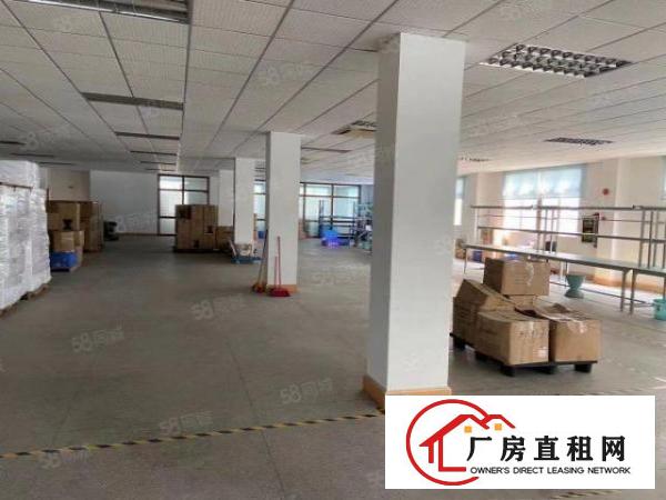  常平大京九实业客分租500平方电梯2吨精装修办公室
