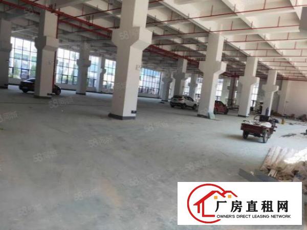 带牛角厂房高度7.5米常平镇田尾工业区一楼1600平出租