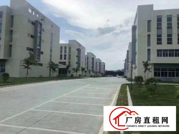  价格10元！常平袁山贝带办公室精装修地坪漆消防喷淋