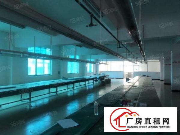  常平金美原房东全新独院标准3层4000平方厂房领包入住