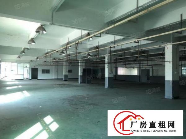  常平金美原房东全新独院标准3层4000平方厂房领包入住