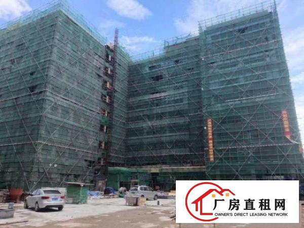  （疫情期间，给钱就租，免租期长）原房东厂房12万大小面积出租