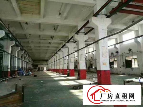  常平靠黄江新出标准厂房分租8米高一楼1100平米