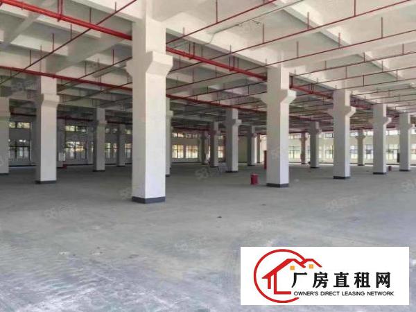  常平镇29000平方标准国土证原房东独院厂房出租