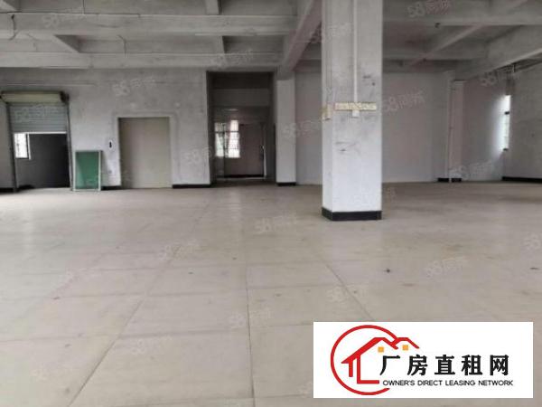  东莞市常平镇新出1250平方厂房招租