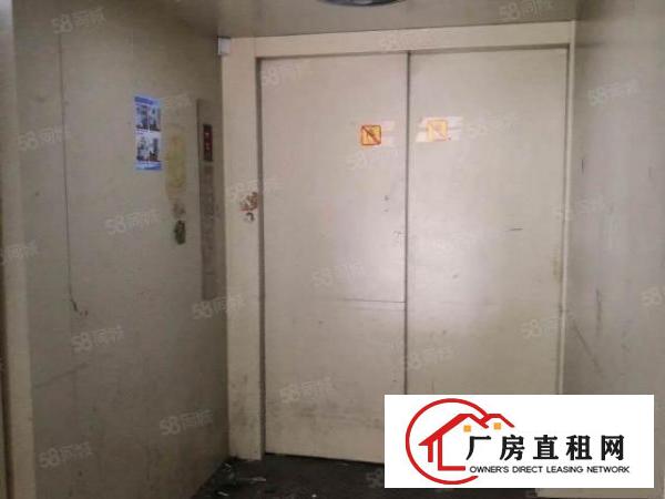  东莞市常平镇新出1250平方厂房招租