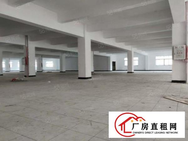  常平木棆工业区整栋独院厂房3800平两层，空地大停车位多