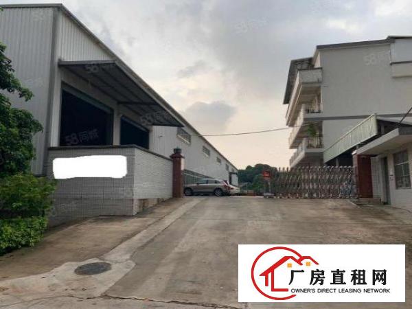  东莞市常平镇新出面积660单一层招租