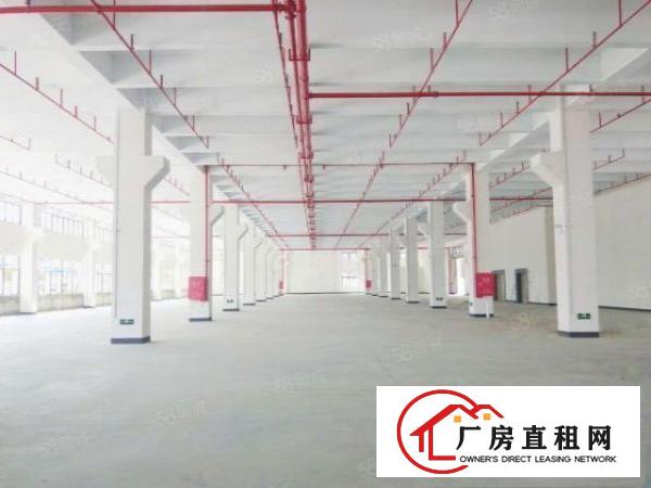  常平高速入口旁全新厂房单层10000平6层，（可以分租）