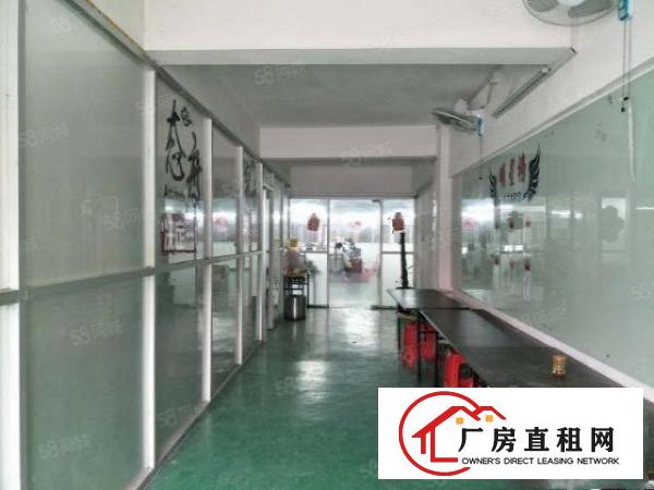  业主直租800方标准厂房不限制行业价格可谈拎包入驻