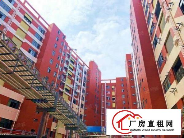  业主直租800方标准厂房不限制行业价格可谈拎包入驻