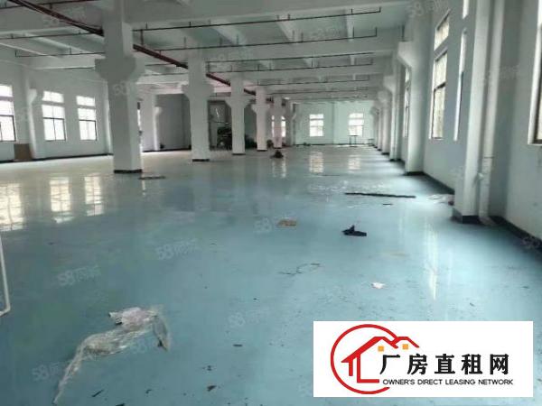  常平镇新出原房东标准厂房二楼850平方，带有精装豪华办公室