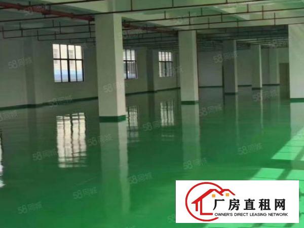  桥头镇新出原房东标准厂房一楼700平方，带有精装豪华办公室