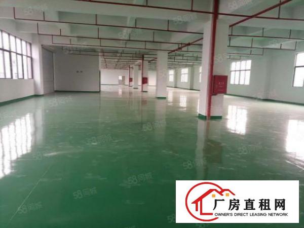  桥头镇新出原房东标准厂房一楼700平方，带有精装豪华办公室