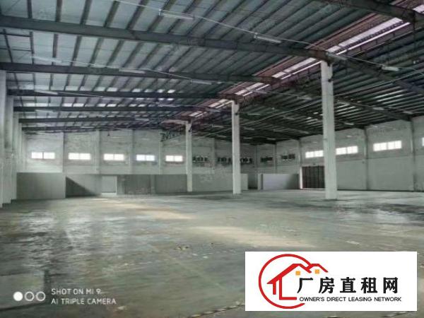  东莞市常平镇新出850平方，单一层砖墙到顶滴水6米厂房招租