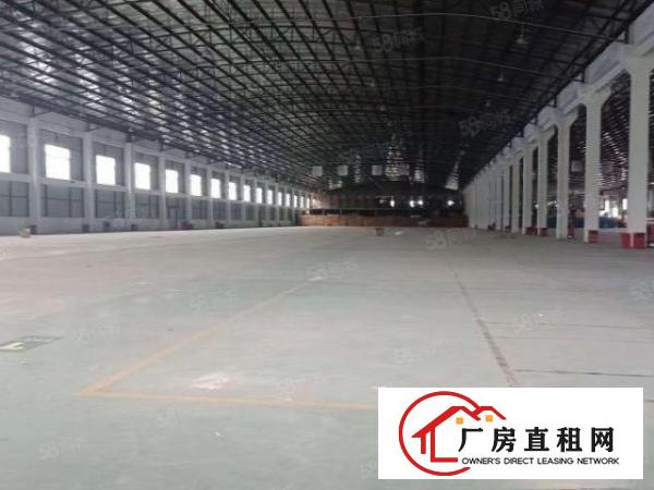  一手房东独院单一层厂房滴水8米可办环评水电齐全空地大有拎包入