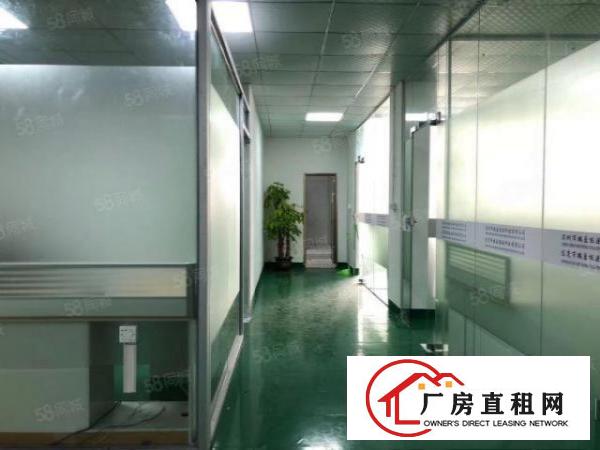  常平新出原房东独院厂房9800平方带装修急租