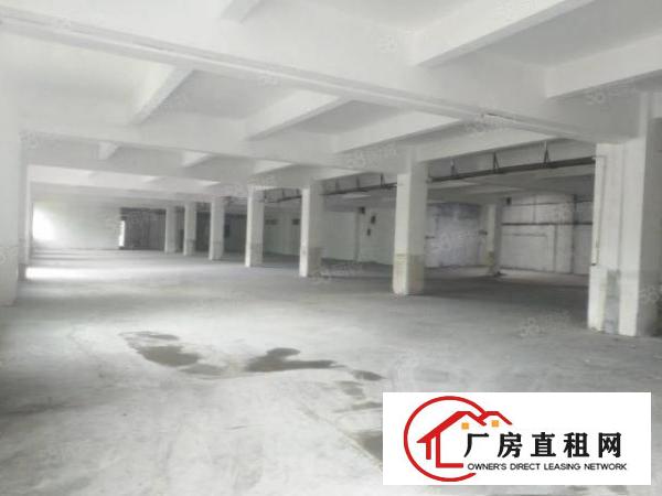  东莞市常平镇新出一栋5500平方厂房招租