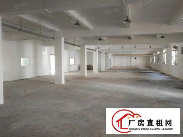  东莞市常平镇新出一栋5500平方厂房招租