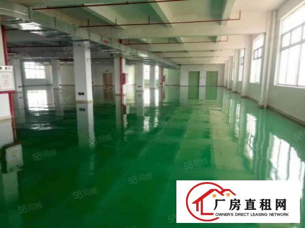  成熟工业区新出花园式厂房楼上700平带装修