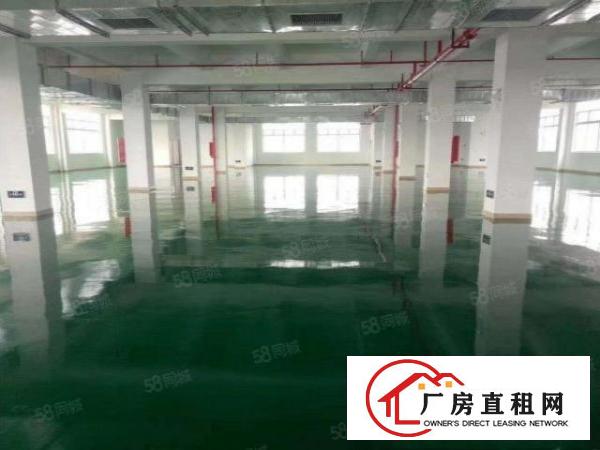  成熟工业区新出花园式厂房楼上700平带装修